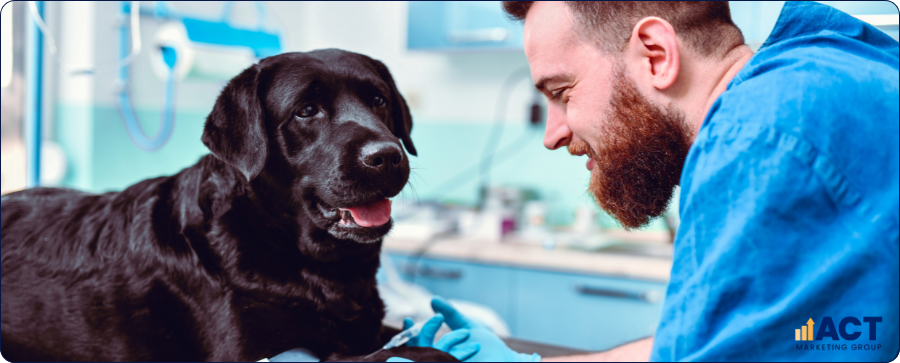 How Veterinary Clinics In Australia Can Use AI Ranking To Win More Local Pet Owners Online (3)