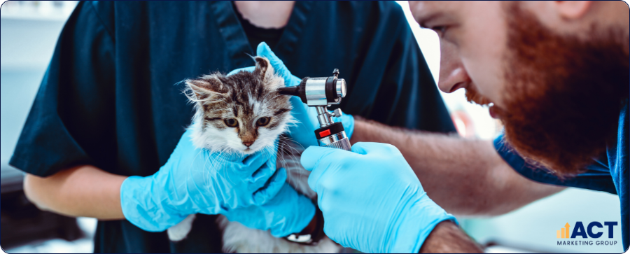 B2B Digital Lead Generation For Australian Vet Clinics Partnering With Breeders, Shelters, And Pet Businesses (1)
