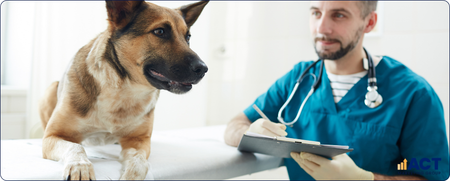 B2B Digital Lead Generation For Australian Vet Clinics Partnering With Breeders, Shelters, And Pet Businesses (2)