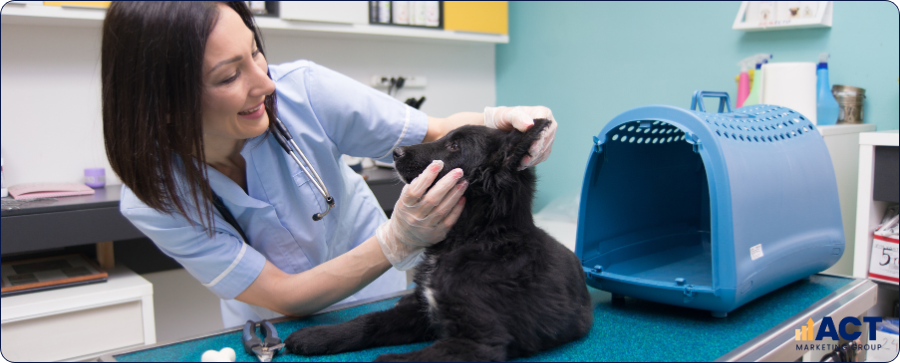 High Converting Landing Pages for Australian Vet Clinics Turning Website Visits into Booked Appointments (1)