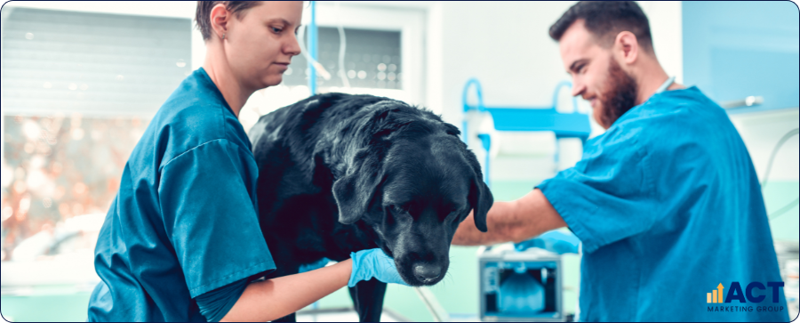 High Converting Landing Pages for Australian Vet Clinics Turning Website Visits into Booked Appointments