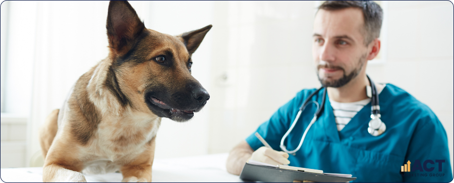 How Australian Vet Clinics Can Understand Digital Marketing Agency Pricing And Avoid Wasted Ad Spend (1)