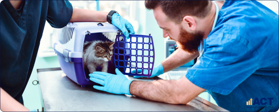 Measuring The Real SEO Impact Of Your Vet Clinic Marketing In Australia What To Track And Why It Matters (2)