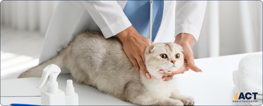SEO Blog Writing Ideas That Help Australian Vet Clinics Rank For Local Pet Health Searches (1)
