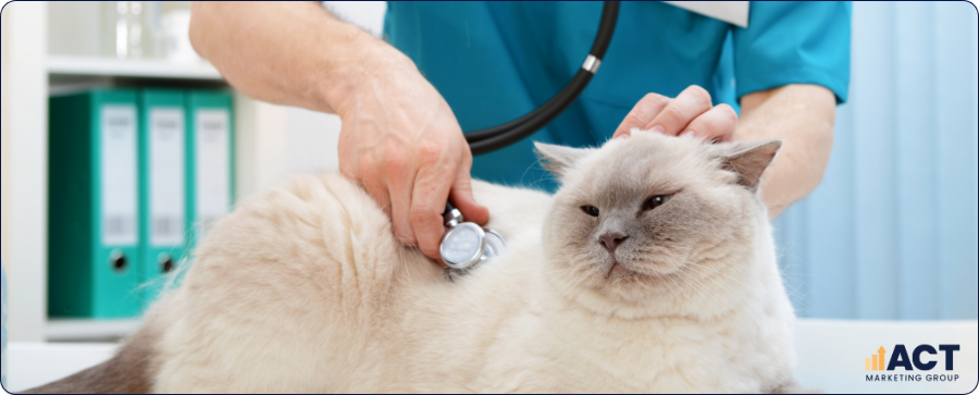 Essential Marketing Resources Every Australian Vet Clinic Needs To Grow In 2026 (1)