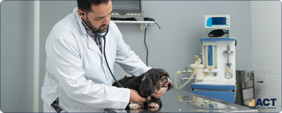 Essential Marketing Resources Every Australian Vet Clinic Needs To Grow In 2026 (2)