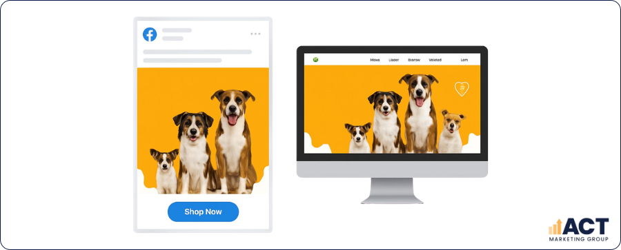 How Australian Vet Clinics Can Produce Better Ad Creatives That Pet Owners Actually Click On (4)