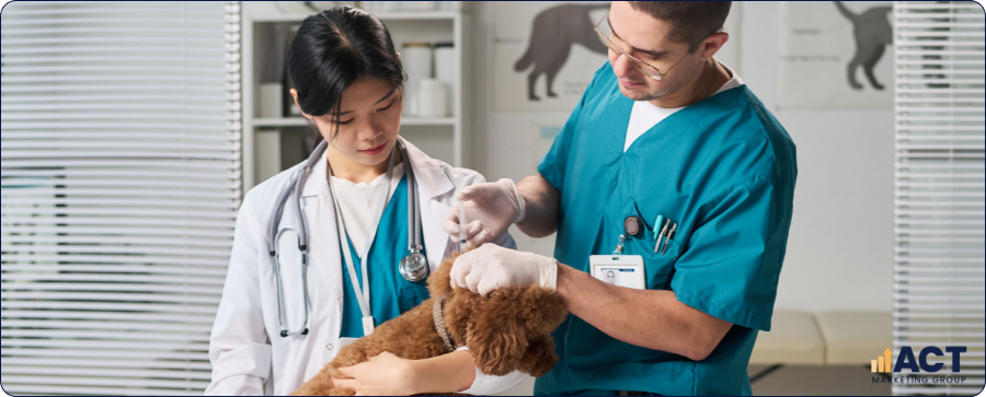 SEO Migration Checklist For Australian Vet Clinics Moving To A New Website Without Losing Google Rankings (2)