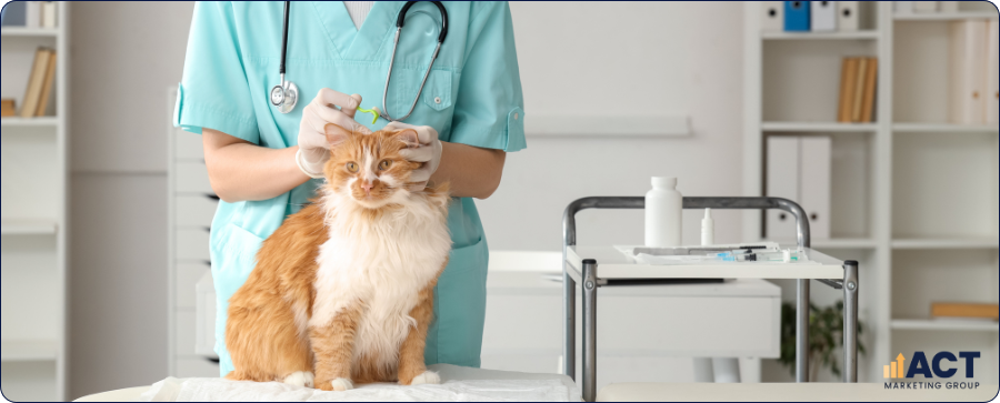 Email Database Strategies That Turn Your Vet Clinic’s Client Records Into Repeat Visits And Higher Lifetime Value (1)