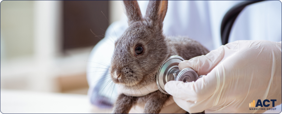 Email Database Strategies That Turn Your Vet Clinic’s Client Records Into Repeat Visits And Higher Lifetime Value (2)