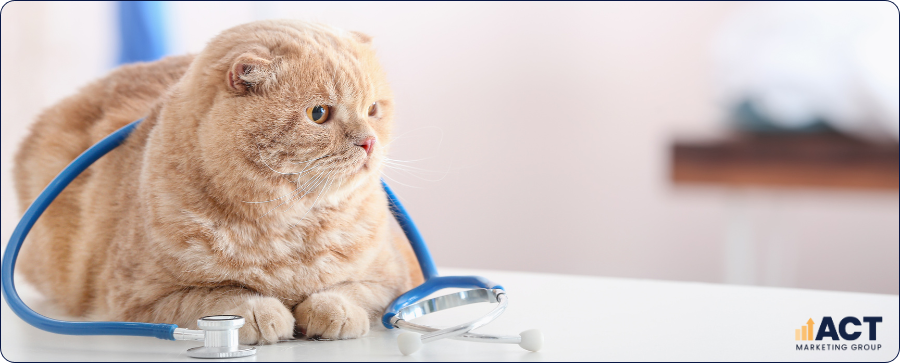 Google Business Profile for Vets The Highest‑ROI Local SEO Strategy for Aussie Clinics (1)