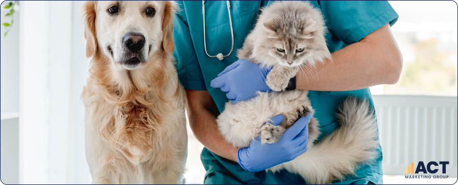 Google Business Profile for Vets The Highest‑ROI Local SEO Strategy for Aussie Clinics