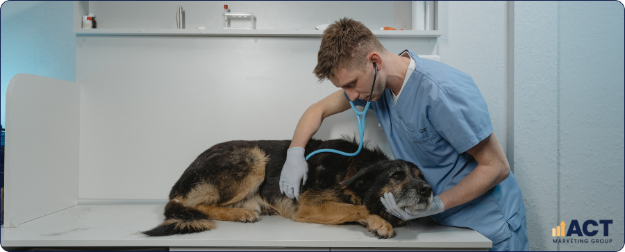 How To Choose An SEO Company That Understands Australian Veterinary Clinics And Local Pet Owners (1)