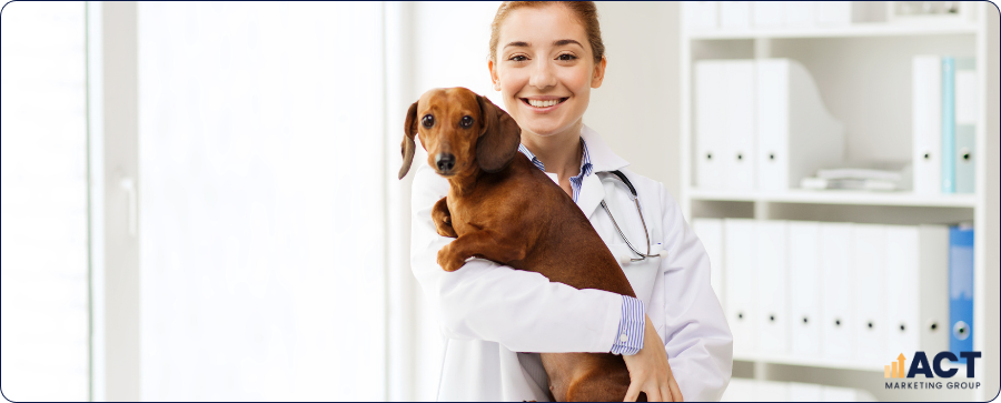 How To Choose An SEO Company That Understands Australian Veterinary Clinics And Local Pet Owners (2)