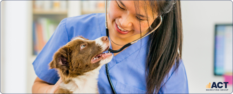 Monthly Digital Marketing Checklist To Keep Your Vet Clinic Visible Across Google, Social Media, And Email (1)