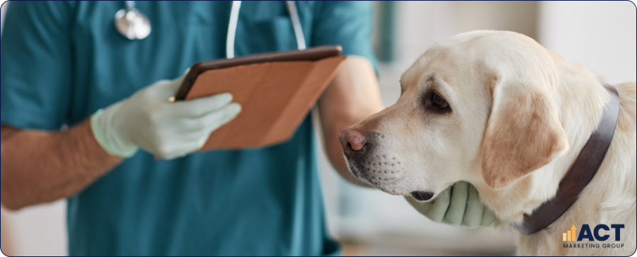 15 Veterinary Marketing Ideas That Attract Loyal Aussie Pet Owners All Year Round (1)