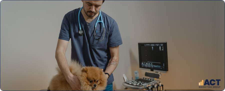 15 Veterinary Marketing Ideas That Attract Loyal Aussie Pet Owners All Year Round (2)