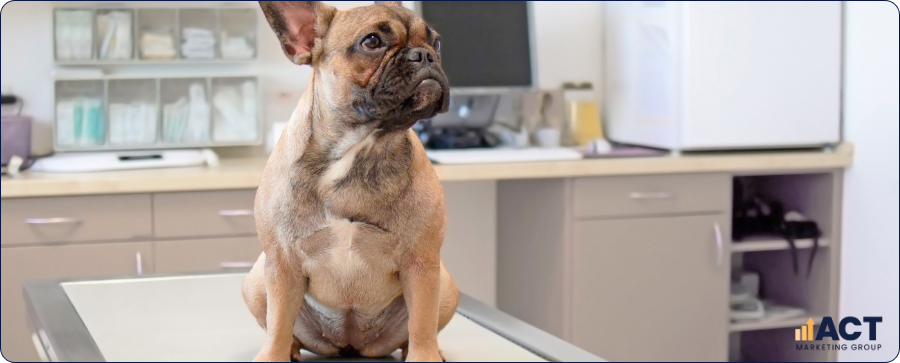 10 Online Marketing Tools Every Australian Vet Clinic Should Use in 2026 (1)
