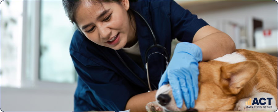 10 Online Marketing Tools Every Australian Vet Clinic Should Use in 2026 (2)